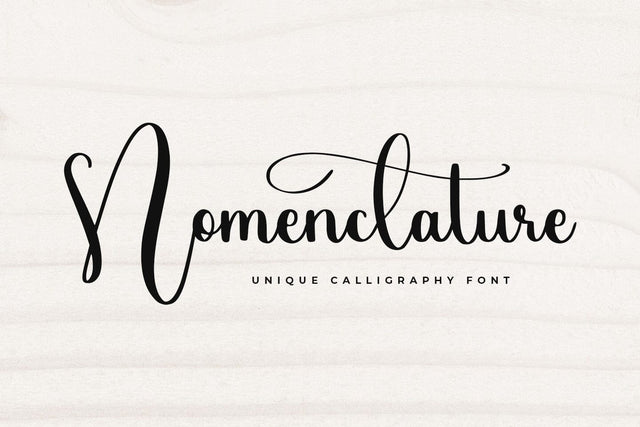 Nomenclature Font Abo Daniel Studio 