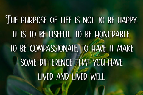 Nona Dianna Font Abo Daniel Studio 