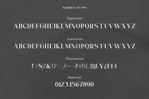 Norden All Caps Serif Font Font Heinzel Studio 