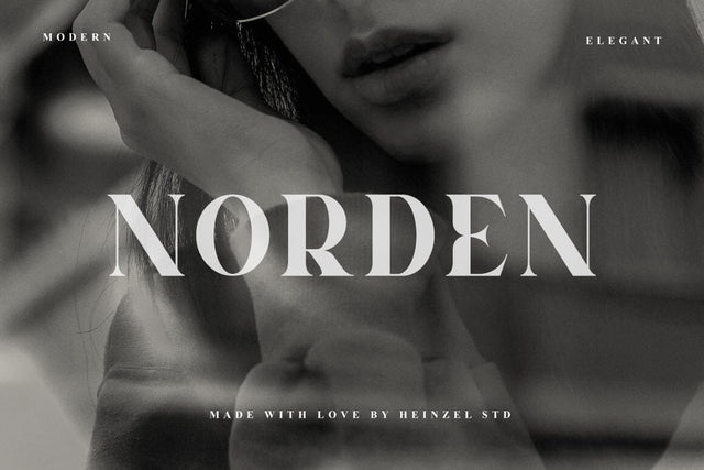 Norden All Caps Serif Font Font Heinzel Studio 