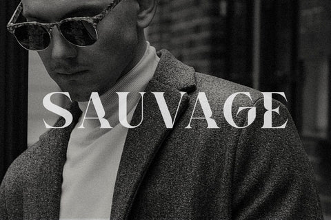 Norden All Caps Serif Font Font Heinzel Studio 