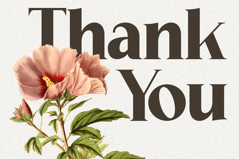 Norgia - Retro Serif Font Font Masyafi Studio 