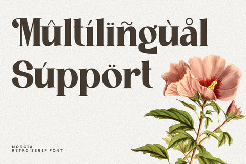 Norgia - Retro Serif Font Font Masyafi Studio 