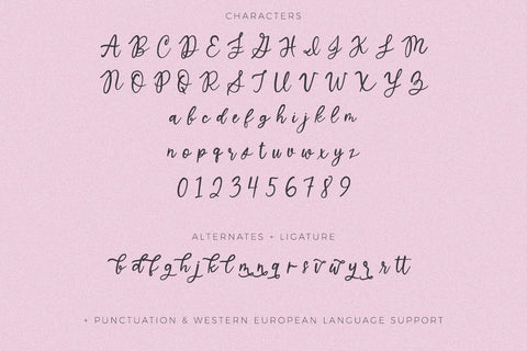 North Avenue Script Font Beck McCormick 