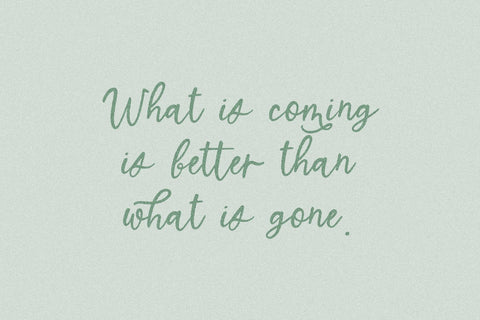 North Avenue Script Font Beck McCormick 