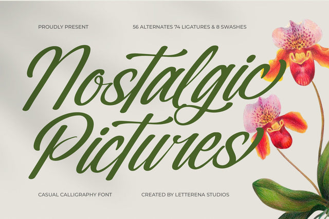Nostalgic Pictures - Casual Calligraphy Font Font Letterena Studios 