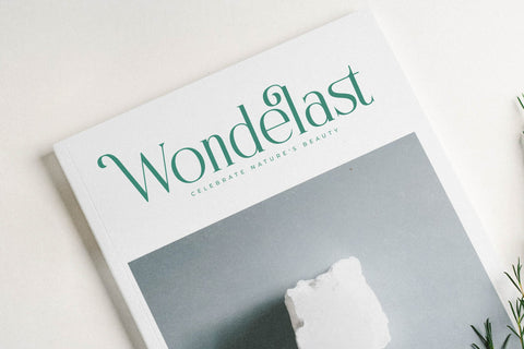 Nostalgin - Beauty Alternate Serif Font Letterena Studios 