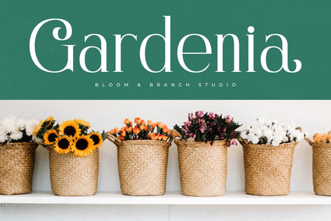 Nostalgin - Beauty Alternate Serif Font Letterena Studios 