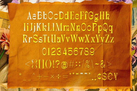 Nouvore - Elegant Display Serif Font studioalmeera 