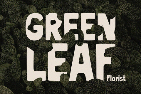 Nova Nook - Bold Display Font Alpaprana Studio 