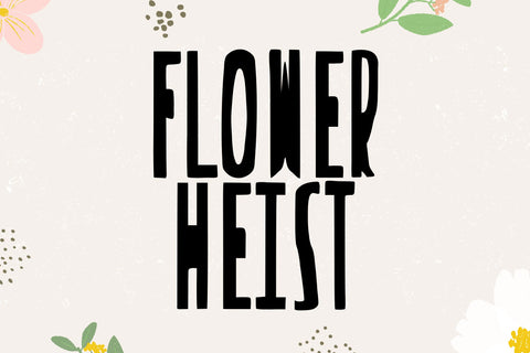 Novox Condense Font Dm Letter Studio 