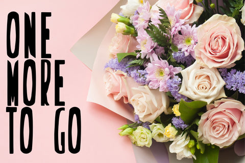 Novox Condense Font Dm Letter Studio 