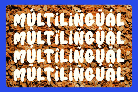 OATMEAL BREAD Font Mozarella 