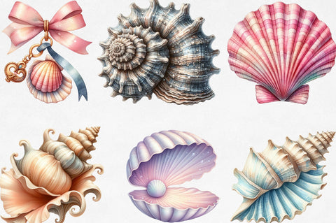 Ocean Sea Shell Sublimation PNG Clipart Sublimation SVGista 