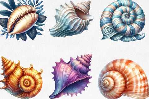 Ocean Sea Shell Sublimation PNG Clipart Sublimation SVGista 