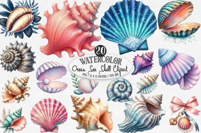 Ocean Sea Shell Sublimation PNG Clipart Sublimation SVGista 