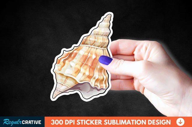 Ocean Seashell Sticker Clipart Sublimation Regulrcrative 
