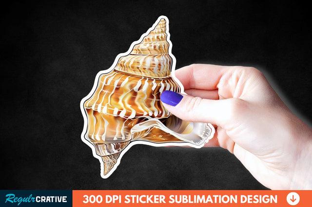 Ocean Seashell Sticker Clipart Sublimation Regulrcrative 