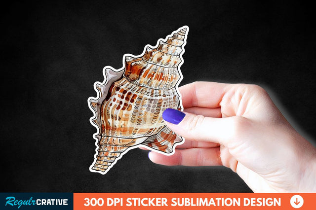Ocean Seashell Sticker Clipart Sublimation Regulrcrative 