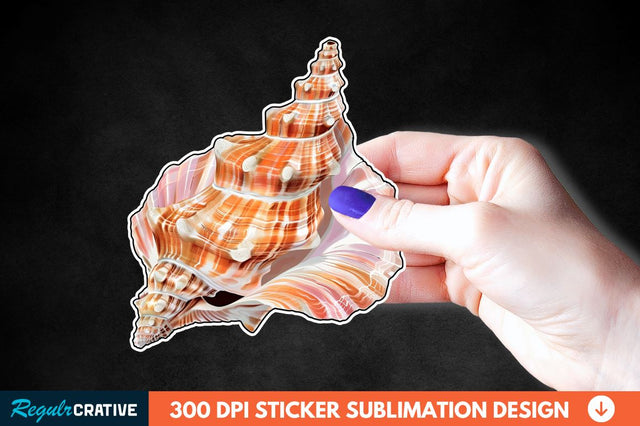Ocean Seashell Sticker Clipart Sublimation Regulrcrative 