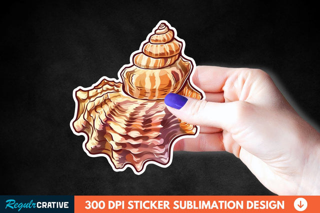 Ocean Seashell Sticker Clipart Sublimation Regulrcrative 