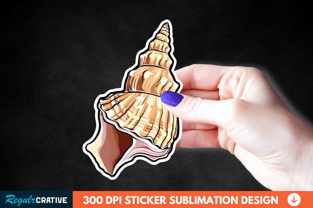 Ocean Seashell Sticker Clipart Sublimation Regulrcrative 