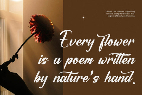 Ochitylla - Modern Bold Script Font Letterena Studios 