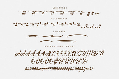 Ochitylla - Modern Bold Script Font Letterena Studios 