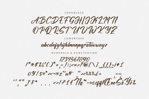 Ochitylla - Modern Bold Script Font Letterena Studios 