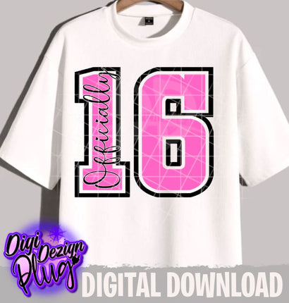 Officially 16 Svg- Png -16th Birthday- Sweet 16 Digital Download SVG DigiDezigns 