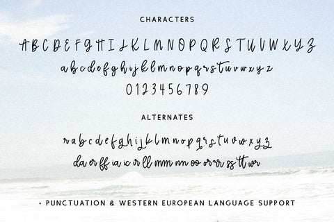 Offing Script Font Beck McCormick 