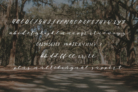 Oh, Savannah! Script Font Beck McCormick 