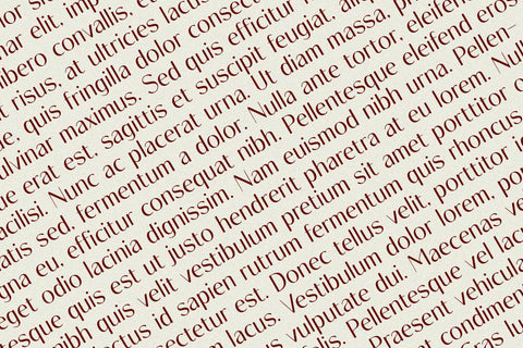 Olario - Sans Serif Font Font Alpaprana Studio 
