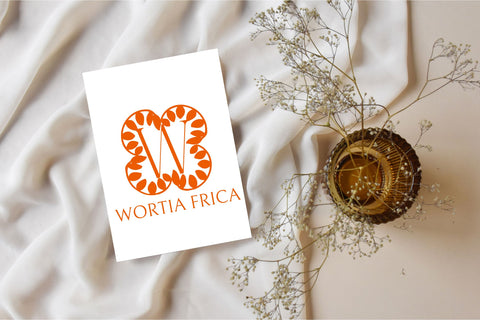 Olive Bloom Monogram Font Dm Letter Studio 