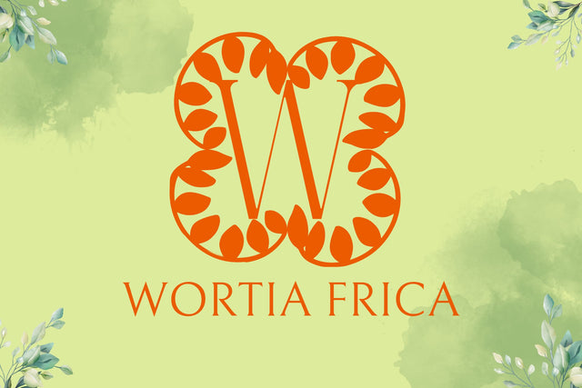 Olive Bloom Monogram Font Dm Letter Studio 