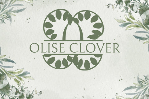 Olive Bloom Split Monogram Font Dm Letter Studio 