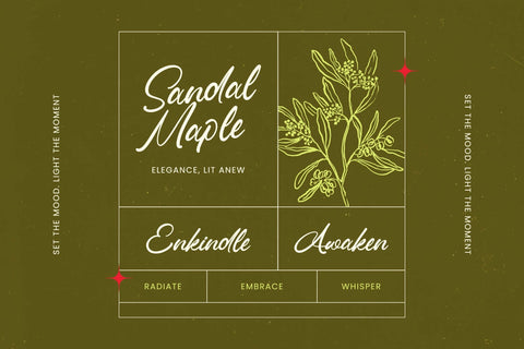 Omanik Chinta - Bold Handwritten Font Font Letterena Studios 