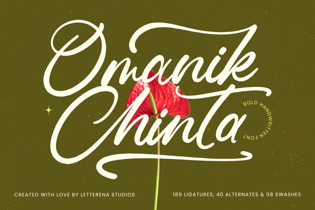 Omanik Chinta - Bold Handwritten Font Font Letterena Studios 