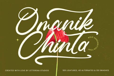 Omanik Chinta - Bold Handwritten Font Font Letterena Studios 