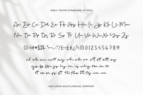 Only Youth Font Heinzel Studio 