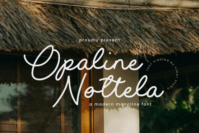 Opaline Nottela - Modern Monoline Font Font Timur type 