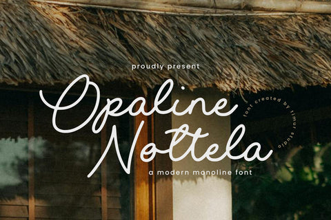 Opaline Nottela - Modern Monoline Font Font Timur type 