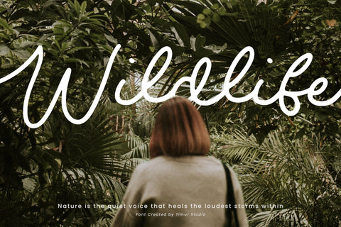 Opaline Nottela - Modern Monoline Font Font Timur type 