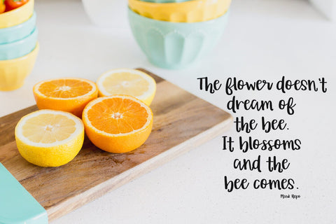 Orange Grove Script Typeface Font Beck McCormick 