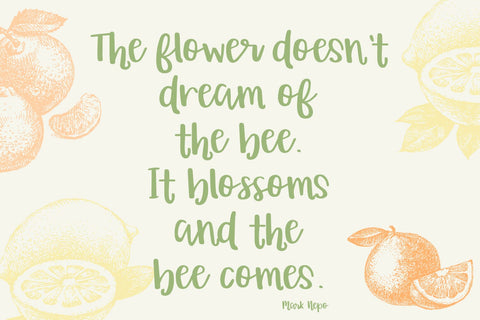 Orange Grove Script Typeface Font Beck McCormick 