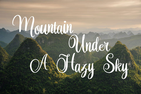 Orchidia Font Dm Letter Studio 