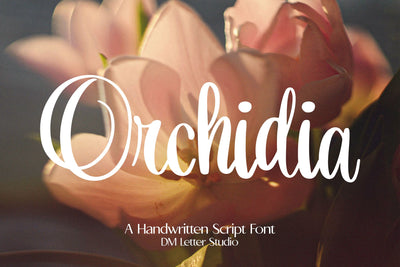 Orchidia Font Dm Letter Studio 