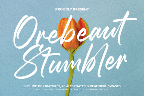 Orebeaut Stumbler - Bold Handwritten Font Font Letterena Studios 