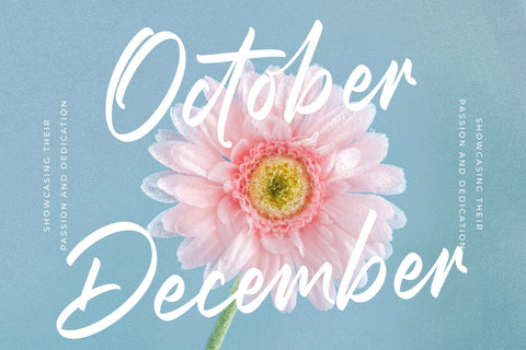 Orebeaut Stumbler - Bold Handwritten Font Font Letterena Studios 