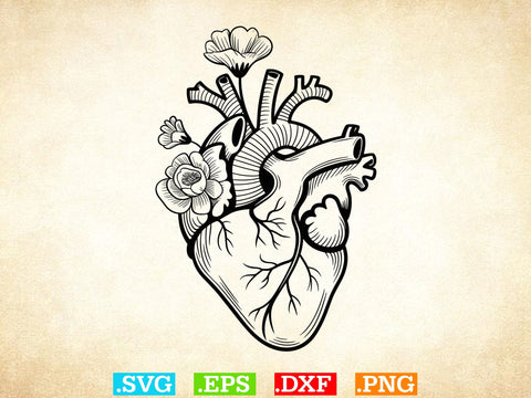 Organs Svg Bundle, Organ Silhouette, Organs Cut Files, Organs Laser Cut SVG Creativeart88 